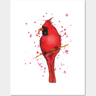 Northern cardinal Posters and Art